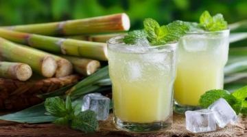 如何種植甘蔗：甘蔗種植基礎(chǔ)知識
