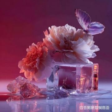 快收下超全的南通春日賞花指南