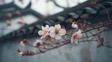 春日花開時節(jié)，蘇州杭州河鮮嘗鮮記