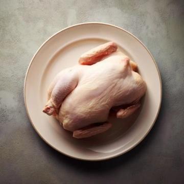 雞肉品種之爭：麻雞VS普通雞