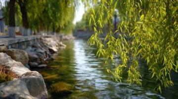 唐山南湖開灤旅游景區一日游攻略：歷史與自然的完美融合