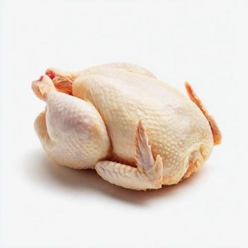 雞肉品種之爭：麻雞VS普通雞