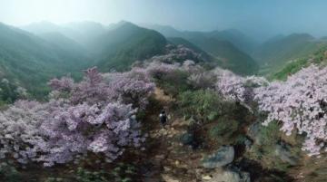 探尋揚(yáng)州春季登山地：龍山與捺山的風(fēng)光之旅