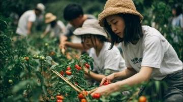 延邊接地氣的早市美食探店之旅