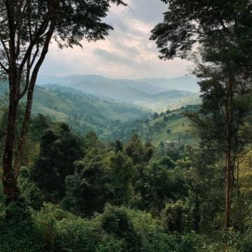 探索西雙版納：完美旅行指南及必游景點推薦