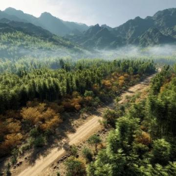 西雙版納深度游全攻略:秘境美景、美食地圖與當地玩法揭秘