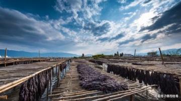 無錫經典旅游路線：從太湖美景到古風小鎮，一站式深度游攻略