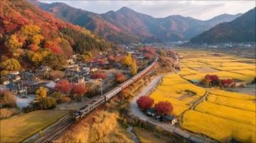 遼寧地區適合摩旅的10條小眾寶藏路線規劃，結合自然風光、人文體驗及當地特色美食推