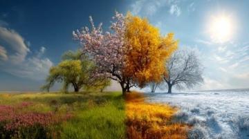 四季幽情詞牌組詩：春探夏懷秋思冬嘆