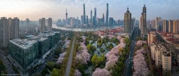 春節反向旅行：上海自駕游潮汕指南