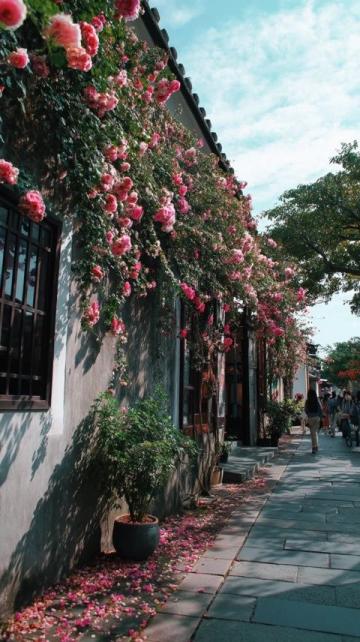 一座牌坊一段史,半街煙火半街詩,當踏入潮州市湘橋區牌坊街的青石板路