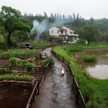 臺山市四九鎮(zhèn)鰍魚角溯溪泡潭,食黑豆鰍魚湯黃鱔飯:一游四九鎮(zhèn)鰍魚角的美麗水潭