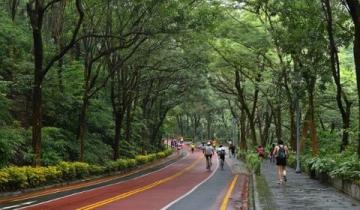 樂山嘉興路美食街啟動大規模道路整修，預計10月煥新貌