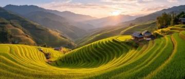 農文旅融合有哪些發展模式(農產品文旅融合，基礎模式有哪些？)