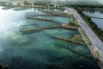 揭秘武漢熱門免費釣點：南湖、青菱河、麻湖路等垂釣天堂