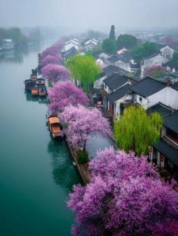 以下是一份湖州市的旅游攻略，你可以根據(jù)自己的時(shí)間和興趣進(jìn)行調(diào)整