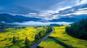 和邑村春日盛景:油菜花節(jié)暨美食節(jié)精彩開幕