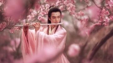浙大紫金港賞梅攻略:拍出古風(fēng)大片秘籍