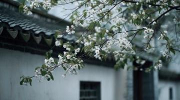春意盎然，成都平原上，春日自駕之旅正當時！