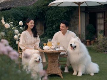 胖東來(lái)售后服務(wù)溫暖周到，讓人倍感溫馨與關(guān)愛(ài)