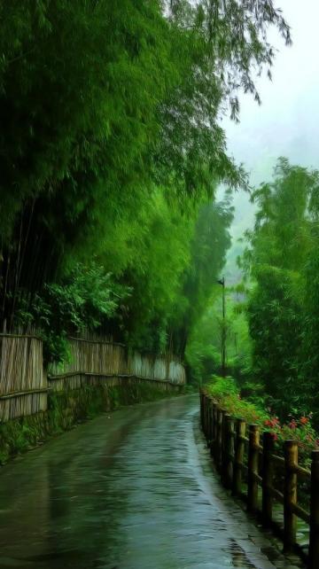 武功山:雨后的艱難抉擇