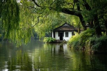 佛山綠島湖游玩指南：探索城市綠肺與生態(tài)秘境