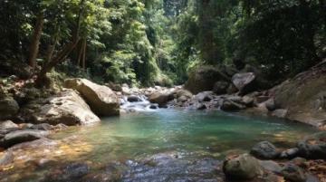 新安江畔三潭枇杷：山水間的甜蜜滋味