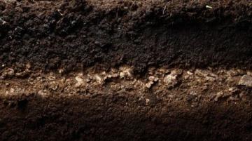 專利突破：四家中企共創環保技術新紀元，泥餅變流態固化土提升反應速率與材料均勻度