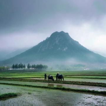 皖西南地區(qū)，一直以來都不吃各種蟲子，吃野菜也是近幾年才傳開的