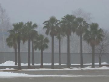 雪終于來了!河南鄭州出現大暴雪,河南局地積雪深度超20厘米,前些日子天氣預報說