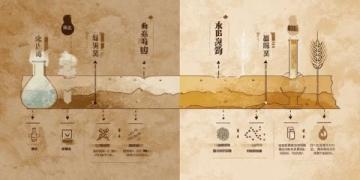 立春:二十四節(jié)之首的文化內(nèi)涵與天文農(nóng)業(yè)知識解讀