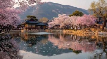 五天假期旅游全攻略：北國春光、都市潮流與文化探索之旅