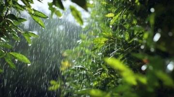 雨季安全小知識(shí)(雨季安全小知識(shí)，你知道多少？)