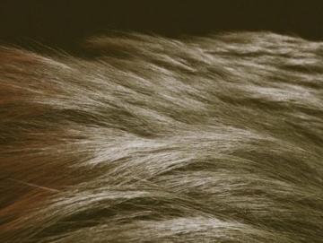 微風輕拂2025年7月22日