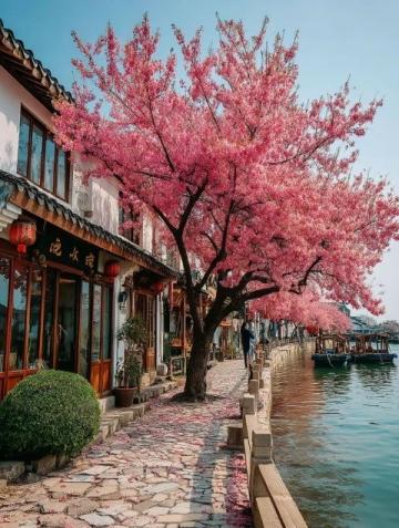 不要去國外，去福建霞浦這個浪漫漁村吧～|||如果春節不知道去那玩