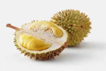 初夏水果季：榴蓮山竹與本地荔枝桃子齊上市