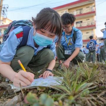 巴州區興文小學校園農場種蔬菜，校門口擺攤搞義賣