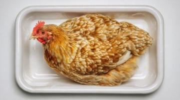 大盤雞風味之旅