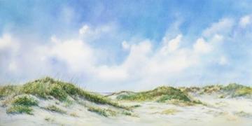 微風輕拂2025年7月22日