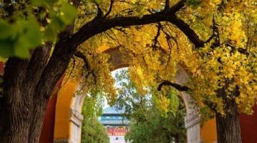 **安慶東門新潮起古韻今風共翩躚**