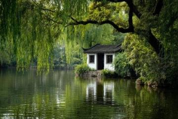佛山綠島湖游玩指南：探索城市綠肺與生態(tài)秘境