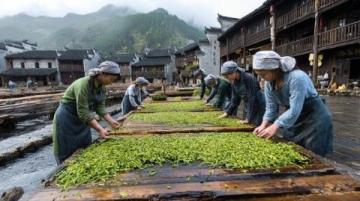 四川北部明珠：廣元的獨特魅力與美食美景之旅