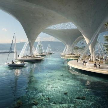 2025年冬日漫步深圳灣海上世界：城市與自然的完美交融