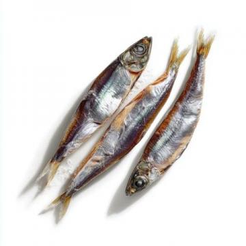 日本人為什么如此鐘愛秋刀魚？營養(yǎng)價(jià)值與文化魅力解析