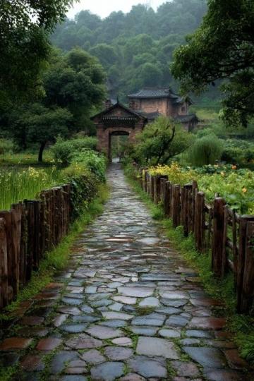 2元游"的長(zhǎng)洲島玩轉(zhuǎn)攻略: 從魚珠碼頭到深井古村