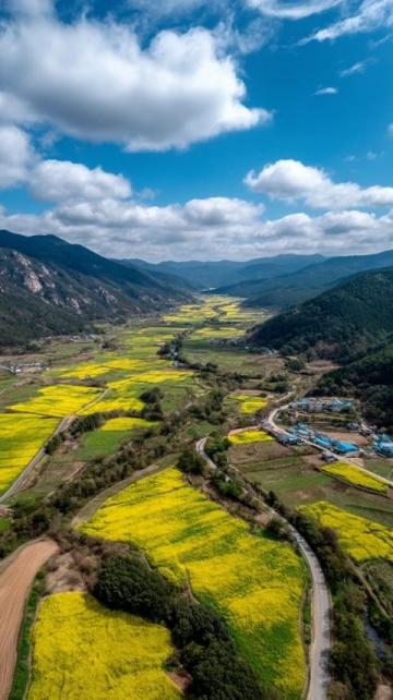 縉云縣旅游攻略:自然美景與文化體驗指南