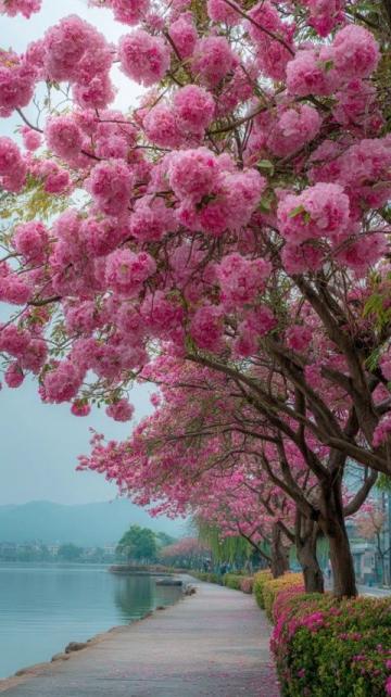 逃離都市喧囂:探尋杭州西溪濕地里的隱世桃源——十里芳菲度假村