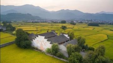 中國各地玉米方言稱呼:從“棒子”到“苞谷”的鄉(xiāng)土文化地圖
