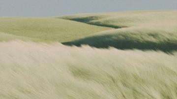 微風輕拂2025年7月22日