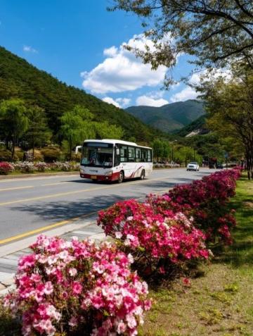 M425路公交：連接深圳沙田機場與惠州天虹的兩個月體驗之旅